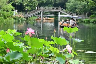 曼联本赛季各项赛事24场输12场，上赛季总计62场输12场